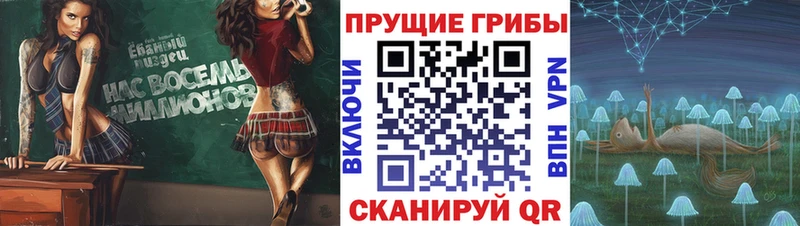 Галлюциногенные грибы MAGIC MUSHROOMS  Соль-Илецк 