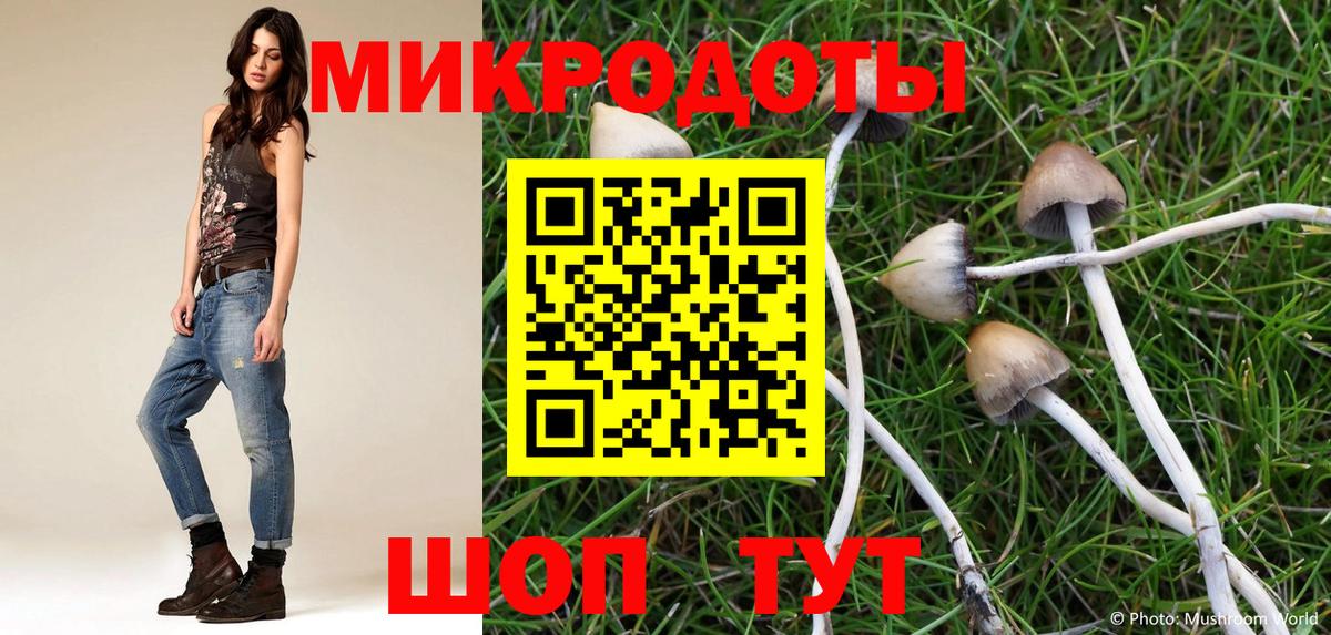 Галлюциногенные грибы Magic Shrooms  Псилоцибиновые грибы Magic Shrooms  Вход с VPN  Соль-Илецк 