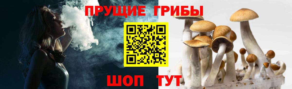 Галлюциногенные грибы Cubensis Соль-Илецк
